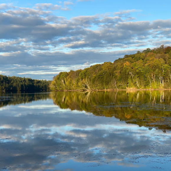 Meet your Posher, Tristan - Picture 1 of 1